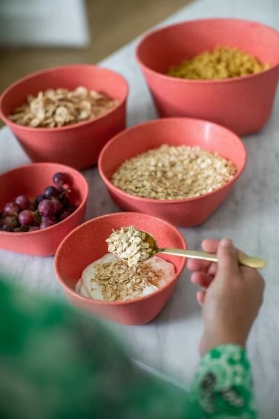 Koziol Aufbewahrungsdose Connect Box In Coral 1 L – Bild 5