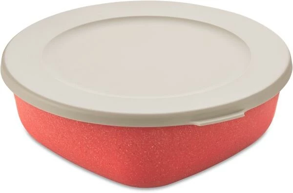 Koziol Aufbewahrungsdose Connect Box In Coral 1 L