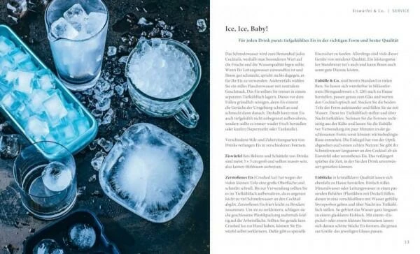 Gräfe Und Unzer Richter Daniel: Cocktails Selbst Gemixt – Bild 2